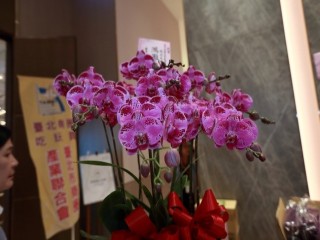 商圈聯合會第11理監事暨第二次會員大會_191225_0193