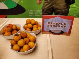 201012-生活祭啟動記者會_201012_84