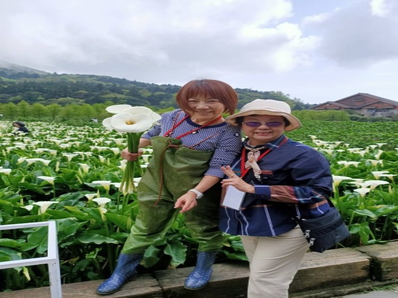 210326-竹子湖海芋季採海芋ㄧ日遊_210326_3
