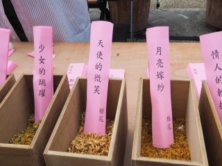 『2018本草派對』開幕活動_181106_0005