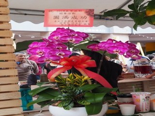 『2018本草派對』開幕活動_181106_0017