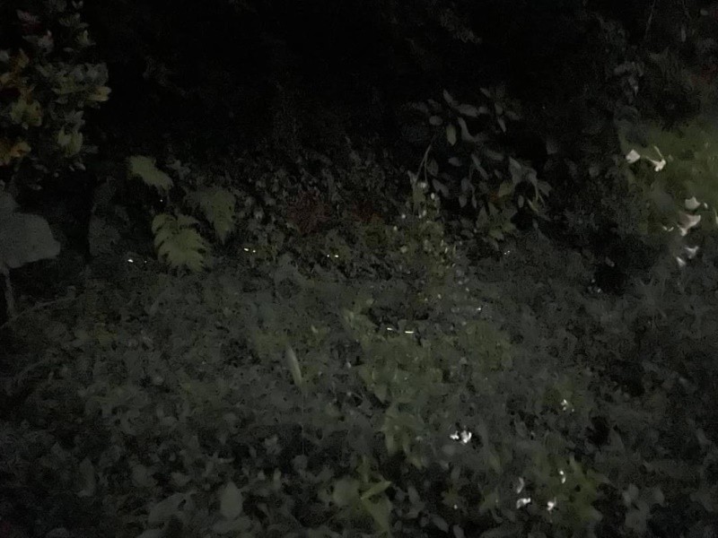 LINE_ALBUM_220507-大坑商圈-夜訪火金姑_220508_1