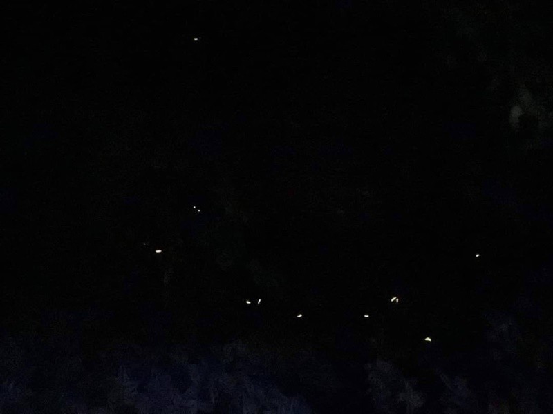 LINE_ALBUM_220507-大坑商圈-夜訪火金姑_220508_2