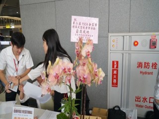 『第二屆TSCA金盃獎』開幕式暨記者會_190901_0064