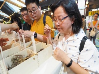 本草派對-SUMMER EDITION』_190707_0020