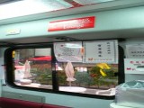 P1040001.JPG