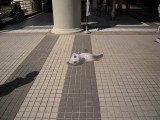 照片 147