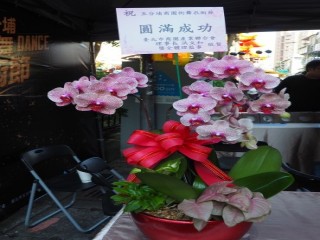 五分埔商圈 街舞衣術節_181028_0003