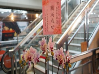 龍山寺地下街商場-第八屆艋舺盃象棋大賽活_180915_0018