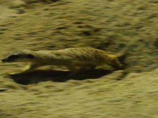 200919-2020悠遊月光下-中秋團圓夜_200922_20