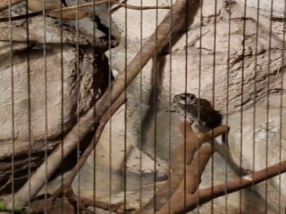 200919-2020悠遊月光下-中秋團圓夜_200922_28