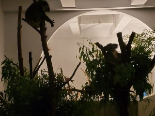 200919-2020悠遊月光下-中秋團圓夜_200922_32