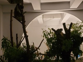 200919-2020悠遊月光下-中秋團圓夜_200922_33