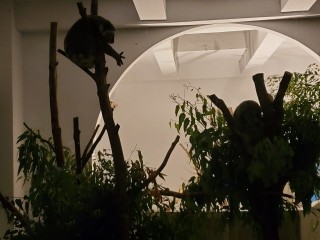 200919-2020悠遊月光下-中秋團圓夜_200922_35