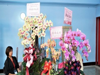 108年台北國際造型藝術節-潮技美妍大賞_191107_0055
