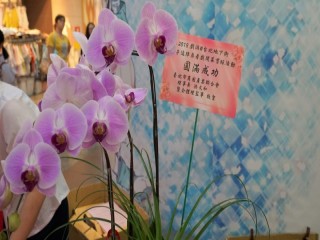 台北地下街歡樂FUN暑假親子逗陣來看戲_180616_0036