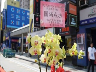 2019夏日瘋街樂園-開幕儀式活動_190525_0042
