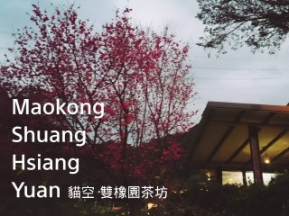 雙橡園茶坊